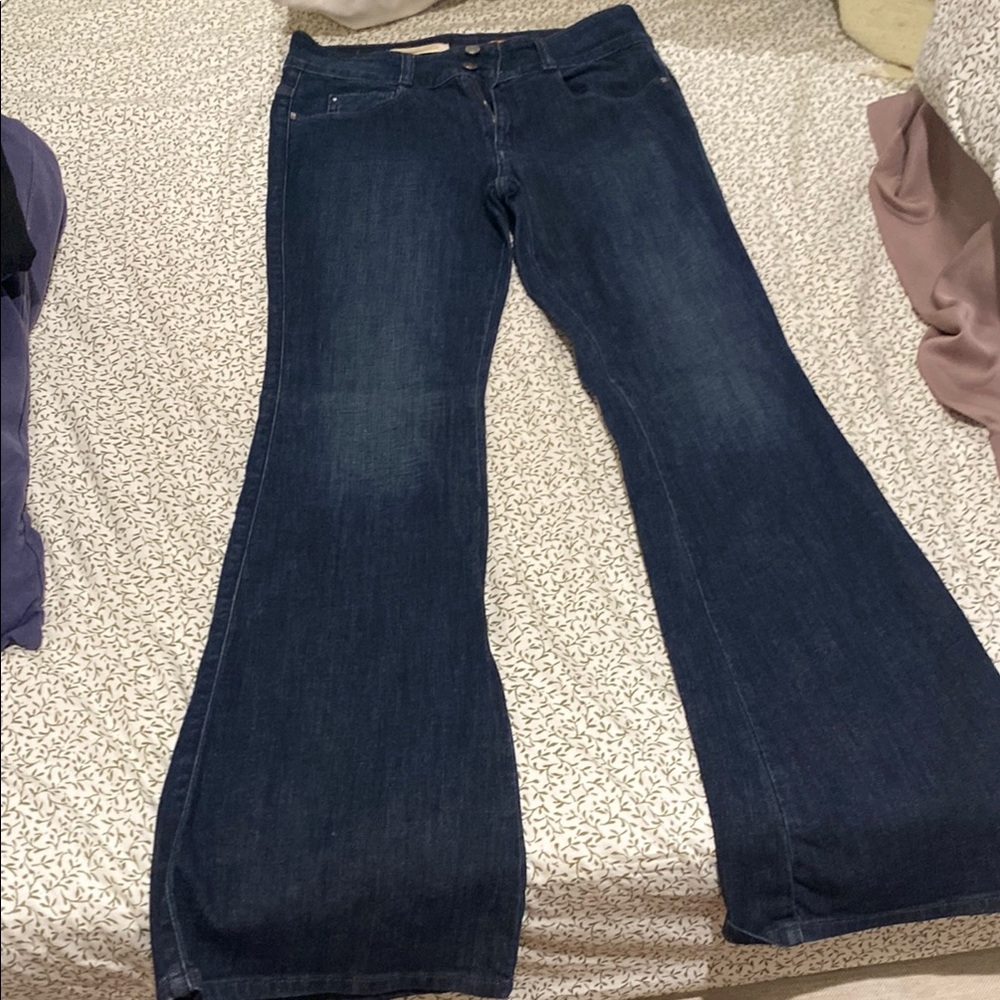 Pilcro and the Letterpress Blue Flare Wide Leg Jeans